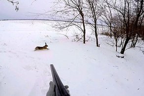 Кировчанин по ошибке застрелил друга во время охоты в Республике Коми