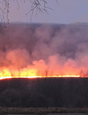 За один день в Кировской области зафиксировали больше 10 пожаров на открытой территории